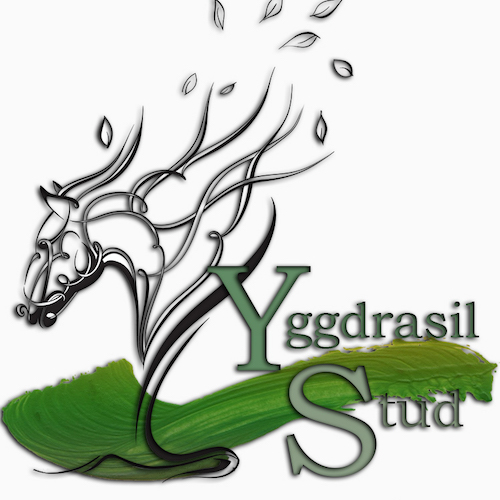 logoYS white background new 2020 small