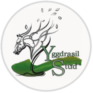 ygdrassil-logo3